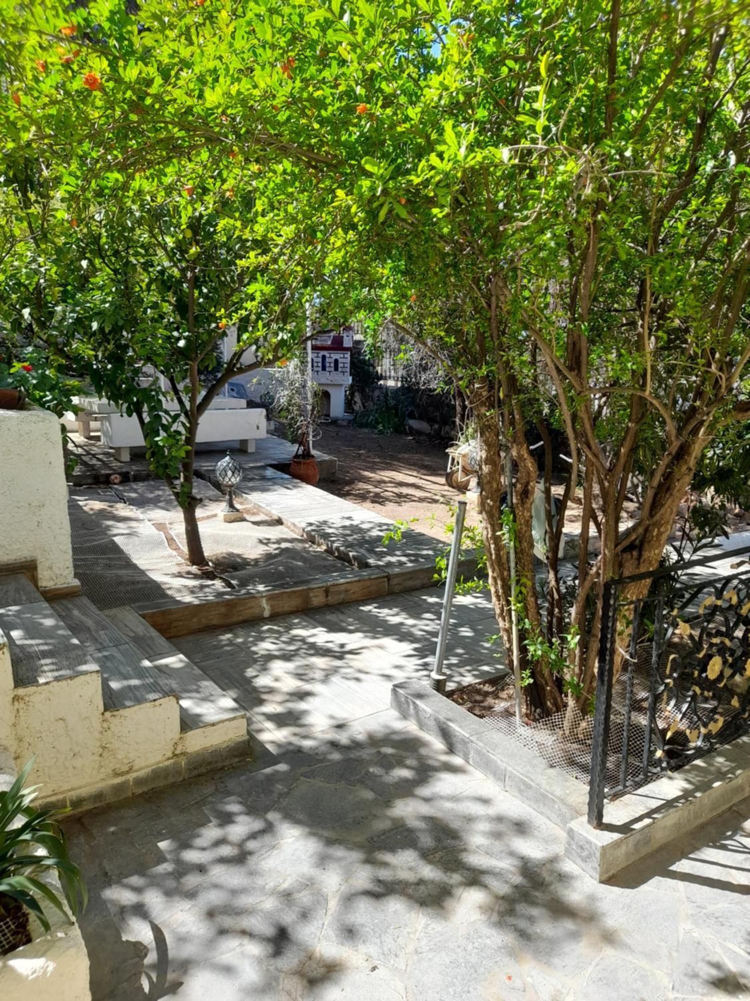 Αίγινα Εξοχική Κατοικία Eginitissa Exterior photo